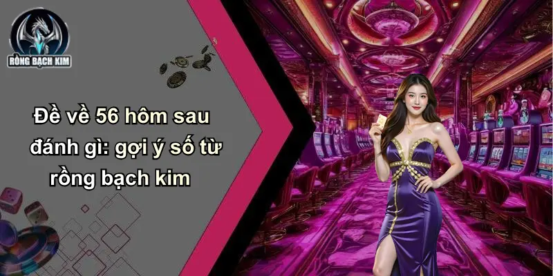 Đề về 56 hôm sau đánh gì: gợi ý số từ rồng bạch kim