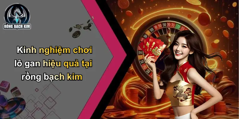 Kinh nghiệm chơi lô gan hiệu quả tại rồng bạch kim