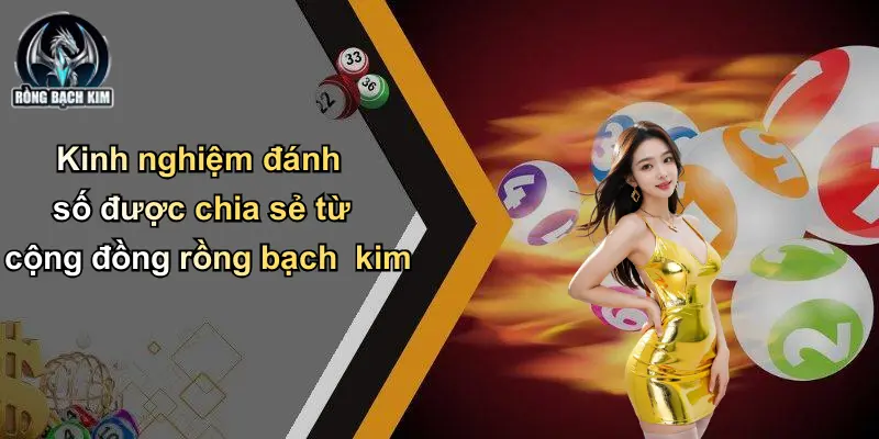 Kinh nghiệm đánh số được chia sẻ từ cộng đồng rồng bạch kim