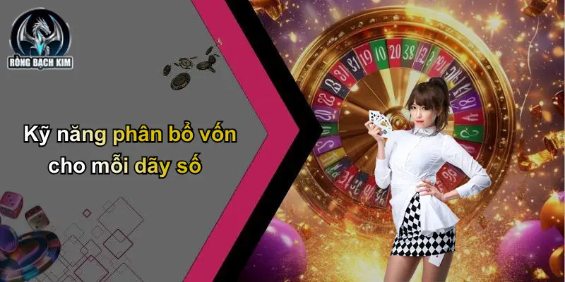 Kỹ năng phân bổ vốn cho mỗi dãy số