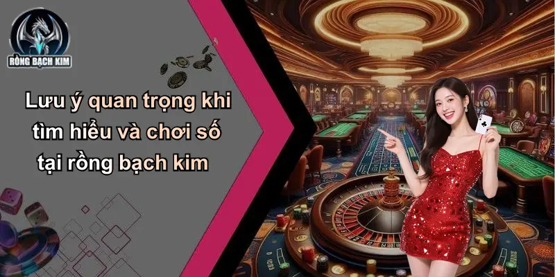 Lưu ý quan trọng khi tìm hiểu và chơi số tại rồng bạch kim