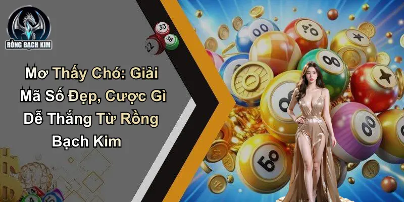 Mơ Thấy Chó: Số Đẹp, Cược Gì Dễ Thắng Từ Rồng Bạch Kim