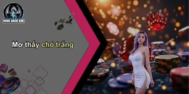 Mơ thấy chó trắng