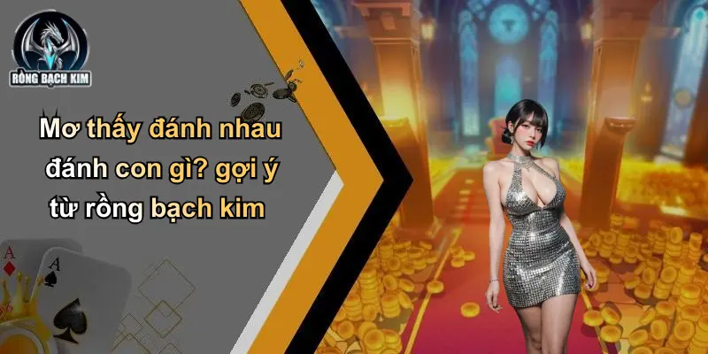 Mơ thấy đánh nhau đánh con gì? gợi ý từ rồng bạch kim