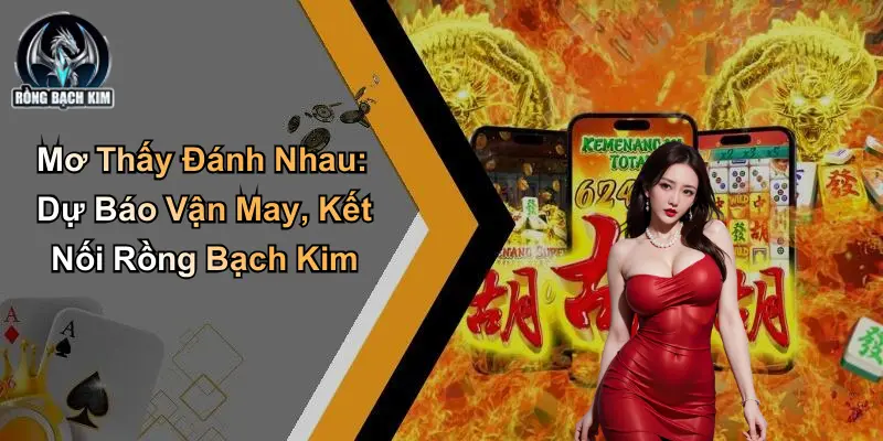 Mơ Thấy Đánh Nhau: Dự Báo Vận May, Kết Nối Rồng Bạch Kim
