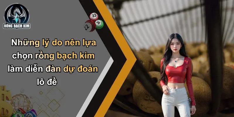 Những lý do nên lựa chọn rồng bạch kim làm diễn đàn dự đoán lô đề