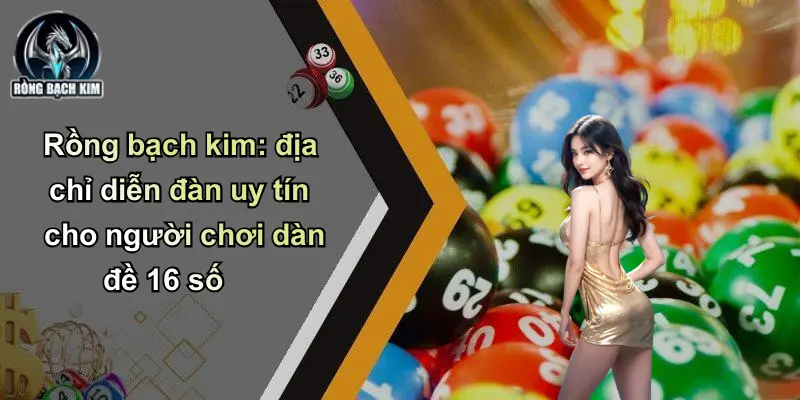 Rồng bạch kim: địa chỉ diễn đàn uy tín cho người chơi dàn đề 16 số