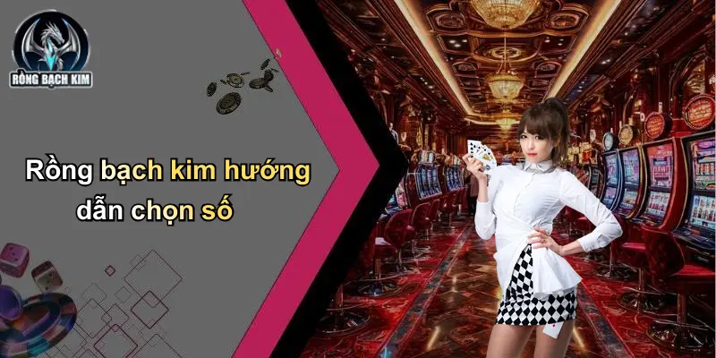 Rồng bạch kim hướng dẫn chọn số