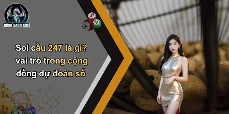Soi cầu 247 là gì? vai trò trong cộng đồng dự đoán số