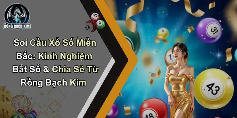 Soi Cầu Xổ Số Miền Bắc: Kinh Nghiệm Bắt Số Từ Rồng Bạch Kim
