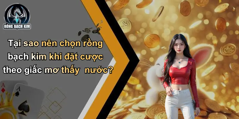 Tại sao nên chọn rồng bạch kim khi đặt cược theo giấc mơ thấy nước?