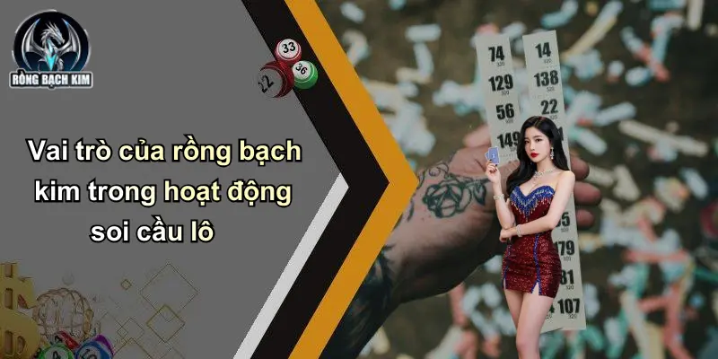 Vai trò của rồng bạch kim trong hoạt động soi cầu lô