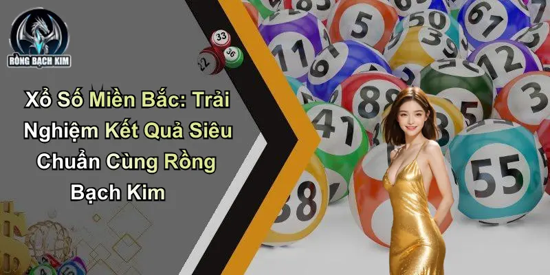 Xổ Số Miền Bắc: Kết Quả Siêu Chuẩn Cùng Rồng Bạch Kim