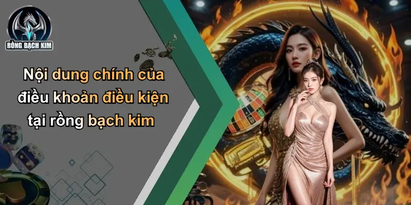 Nội dung chính của điều khoản điều kiện tại rồng bạch kim