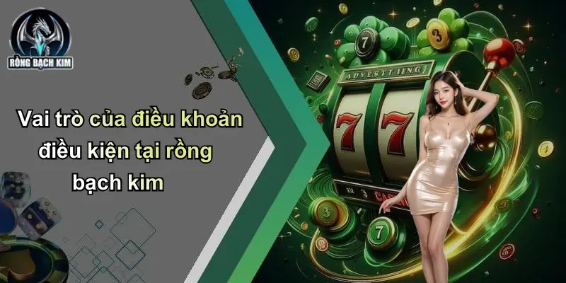Vai trò của điều khoản điều kiện tại rồng bạch kim