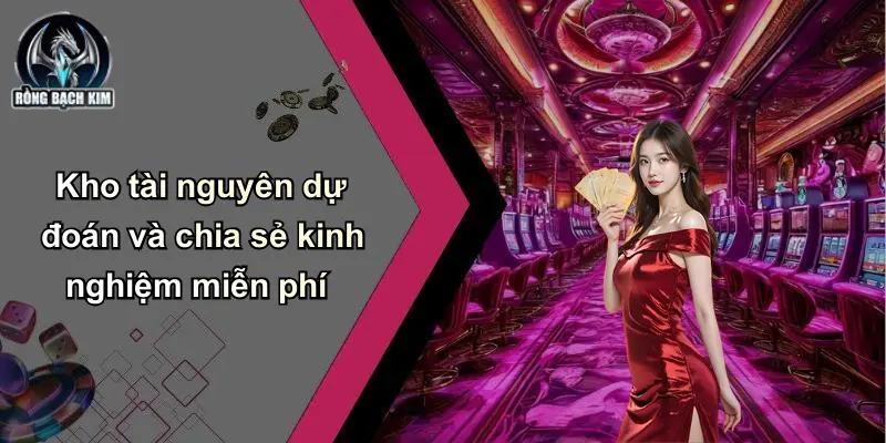 Kho tài nguyên dự đoán và chia sẻ kinh nghiệm miễn phí