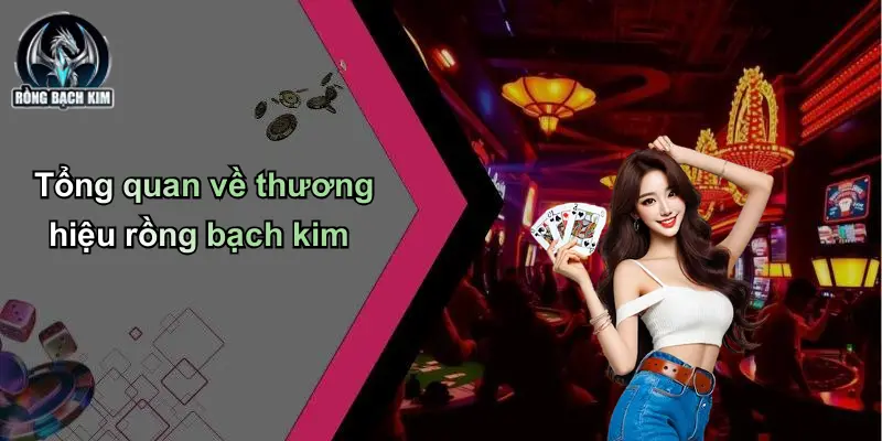 Tổng quan về thương hiệu rồng bạch kim